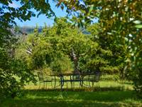 Votre table de de´jeuner sous les tilleuls a` la Bastide du Claus